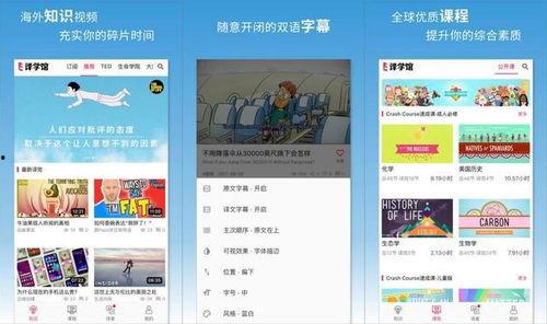 国产在线享,引领潮流的本土创新娱乐体验