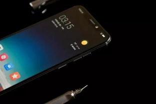 最悲惨国产手机在线观看,最悲惨国产手机在线观看，揭秘行业痛点