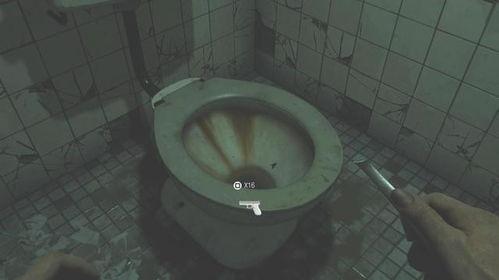 国产饲育卫生间在线播放,揭秘在线播放背后的故事与影响