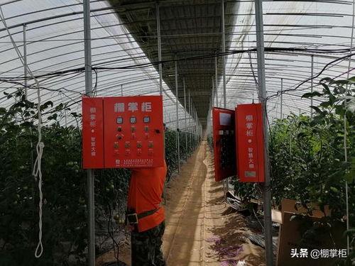 国产户棚区在线,探索乡村振兴的绿色路径