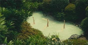 原创国产温泉视频在线看,原创国产温泉视频在线赏鉴之旅